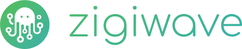 Data Integration Tools: Zigiwave Logo